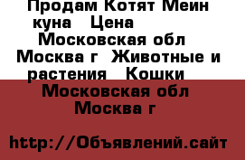 Продам Котят Меин-куна › Цена ­ 15 000 - Московская обл., Москва г. Животные и растения » Кошки   . Московская обл.,Москва г.